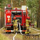zdjęcie nr 12