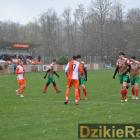 zdjęcie nr 17