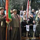 Fotka nr 3 z 157
