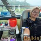 zdjęcie nr 7