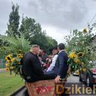 zdjęcie nr 11