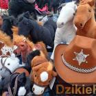 zdjęcie nr 155