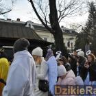 zdjęcie nr 387