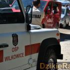 zdjęcie nr 34