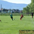Fotka nr 4 z 245