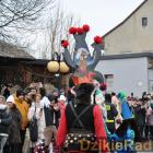 Fotka nr 4 z 129