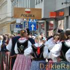 zdjęcie nr 70