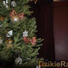 zdjęcie nr 44