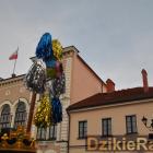 zdjęcie nr 120