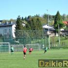 zdjęcie nr 222
