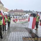 zdjęcie nr 11