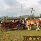 zdjęcie nr 279