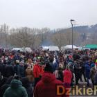 zdjęcie nr 127