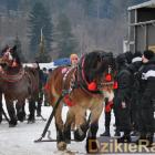 Fotka nr 5 z 172