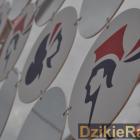 zdjęcie nr 22