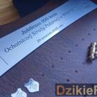 zdjęcie nr 93