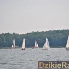 zdjęcie nr 118