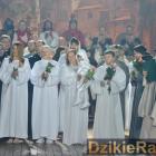 zdjęcie nr 373