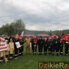 zdjęcie nr 31