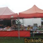 zdjęcie nr 307