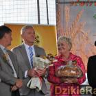 zdjęcie nr 139