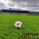 zdjęcie nr 101