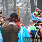 zdjęcie nr 259