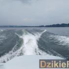 zdjęcie nr 255