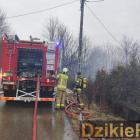 zdjęcie nr 13