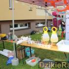 zdjęcie nr 29