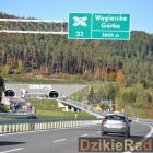 zdjęcie nr 121