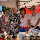 zdjęcie nr 26