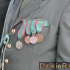 zdjęcie nr 178
