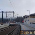 zdjęcie nr 13