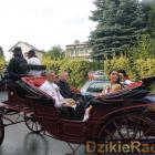 zdjęcie nr 250