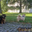 zdjęcie nr 44