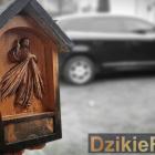 zdjęcie nr 12