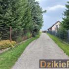 Fotka nr 2 z 4