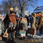 zdjęcie nr 73