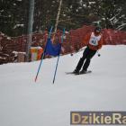 zdjęcie nr 165