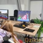 zdjęcie nr 16