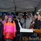 zdjęcie nr 70