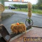 Fotka nr 1 z 19