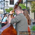 zdjęcie nr 20