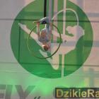 zdjęcie nr 13