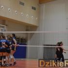 zdjęcie nr 42