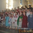 zdjęcie nr 9