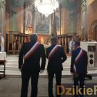 zdjęcie nr 239