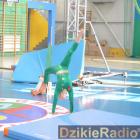 zdjęcie nr 141