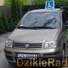 Fotka nr 4 z 8